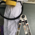 Live Bee Hive Removal