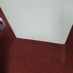 Under the heavy bookshelf