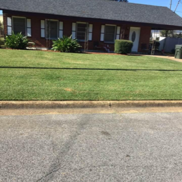 Lawn Maintenance