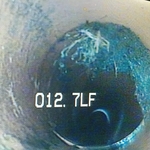 Root Growth