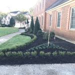 Prestige to the front yard