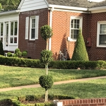 Topiary combination