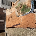 Progress Photo