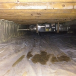 Standing Water in Crawlspace