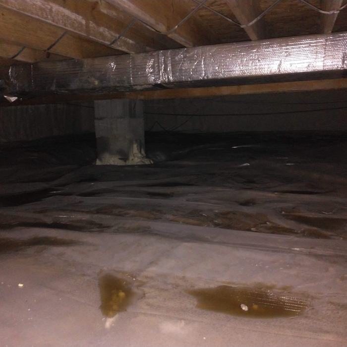 Standing Water in Crawlspace