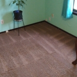 Carpet Cleaning/Shampooing