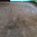 Before A&L Carpet Clean & Shampooed