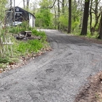 Shed Demolition. Driveway