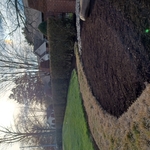 My work