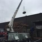Previous Project
