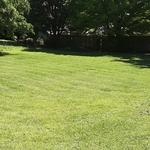 lawn care