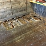 Dry rot