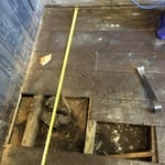 extent of dry rot