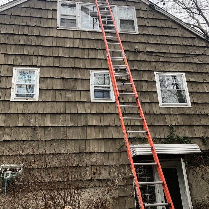 Bird removal and exclusion