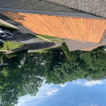 Shingles Ripped Off