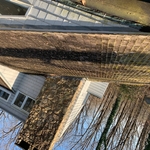 Cedar Shake Roof Replacement