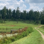 Pond & Hill side