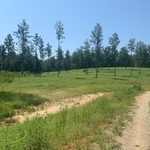 Water Diversion & Hillside