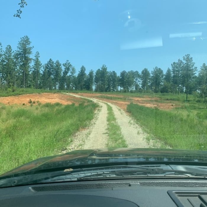 Creek Crossing