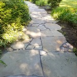 Patio/Walkway Restoration