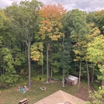 Tree Removals and Pruning