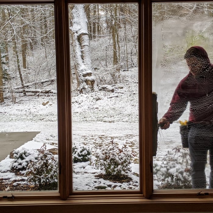 Window Cleaning