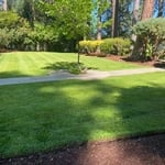 Landscape Maintenance