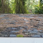 Shed Repairs