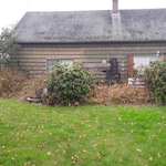 4 ft Garden around home