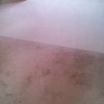 living room carpet clean