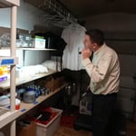 Inspecting the stock area