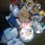 First Junk Removal Ever