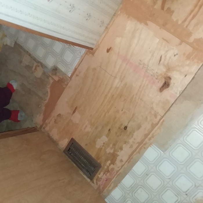 New plywood