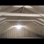 Attic Mold Remediation