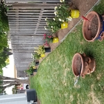 Hidden beauty landscape