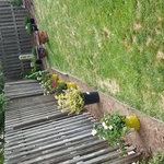 Hidden beauty landscape