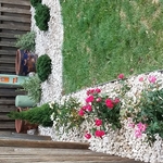 Hidden beauty landscape