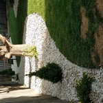 Hidden beauty landscape