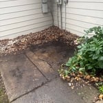 Shed Demolition