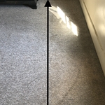Basic Cleaning