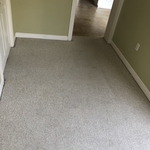 Post Pet Stain Removal