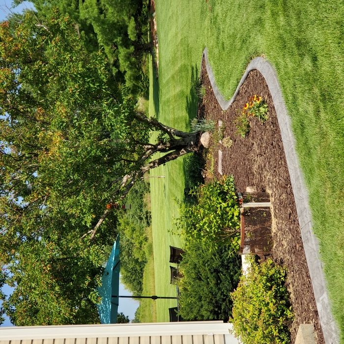 Customer Concrete Edging