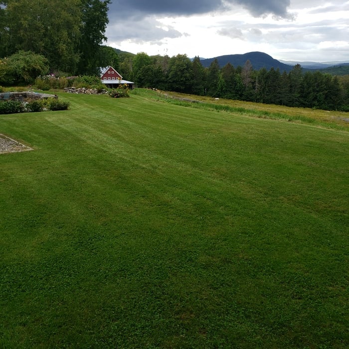 Mowing