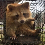 Photos of Our Work/Staff