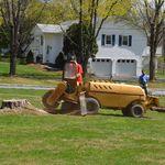Stump Grinding