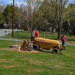Stump Grinding