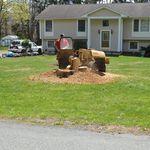 Stump Grinding