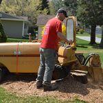 Stump Grinding