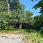 Over grown and ready for demolition