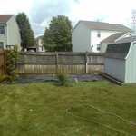 Old fence